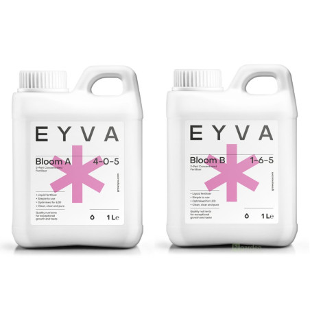 EYVA Liquid Bloom A+B