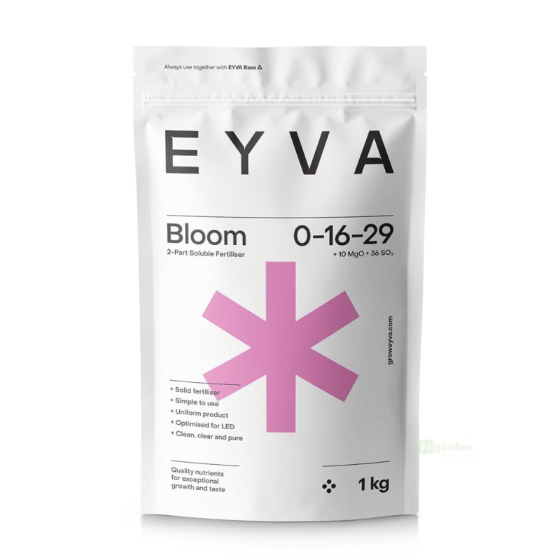 EYVA Solid Bloom
