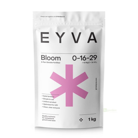 EYVA Solid Bloom