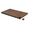 HGA Garden CT77 Tray + Eazy Plug