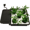 AutoPot AQUAplate kit - hranatý