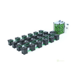 Alien Hydroponics Rain 24Pot