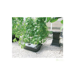 NFT Gro Tank GN 150