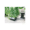 NFT Gro Tank GN 150