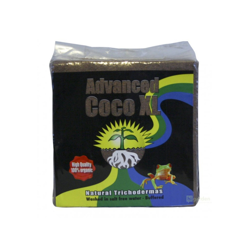 AH Coco Advanced XL 70L