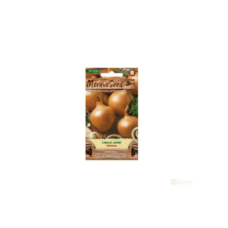 Semínka MoravoSeed Cibule jarní VŠETANA, žlutá, 350s