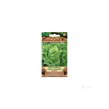 Semínka MoravoSeed Salát hlávkový pozdní ledový KAMELOT 66355