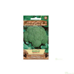 Semínka MoravoSeed Brokolice APOLENA F1 – hybrid, 30s