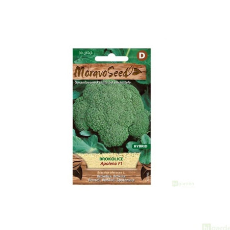 Semínka MoravoSeed Brokolice APOLENA F1 – hybrid, 30s