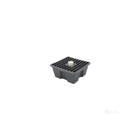 Rainforest 72 12 Volts