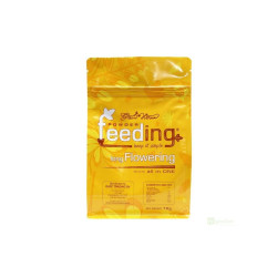 Green House Powder Feeding Long Flowering