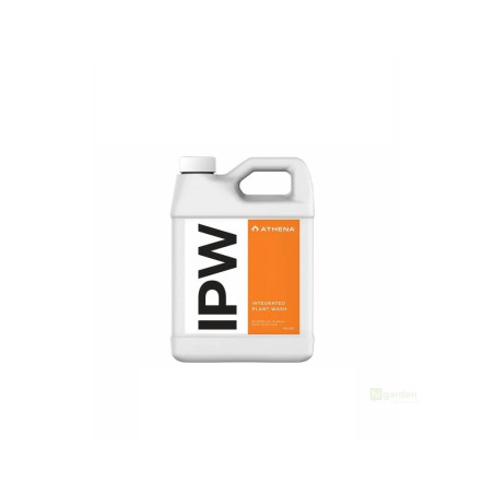 Athena IPW