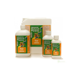 Advanced Hydroponics Final Solution