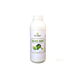 Botano Health BHB mm Leaves Shiner