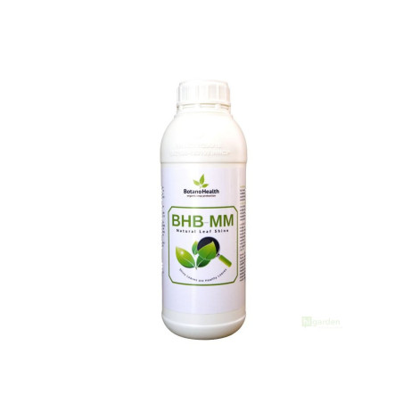 Botano Health BHB mm Leaves Shiner