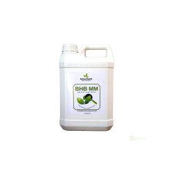 Botano Health BHB mm Leaves Shiner