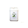 Botano Health BHB mm Leaves Shiner