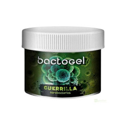 Bactogel - organický stimulant