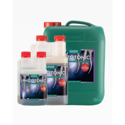 Canna Rhizotonic