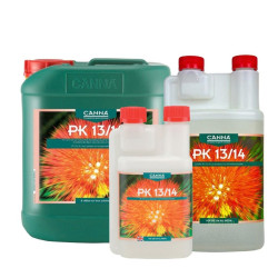 Canna PK 13/14