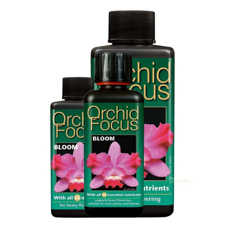 Growth Technology Orchid Focus Bloom