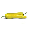 Semínka Piquant Paprička chilli GIALLO