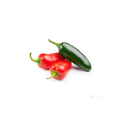 Semínka Piquant Paprička chilli JALAPENO
