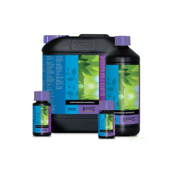Atami B’cuzz Booster Hydro