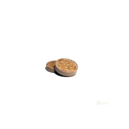 UGro Plug Rhiza - sadbovací váleček 38 mm