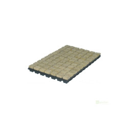Grodan sadbovací kostka 36x36x40 mm v sadbovači 1ks