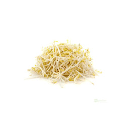 Mungo fazole na microgreens, 100 g