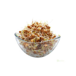 Microgreens, semínka na klíčky - Čočka 20g