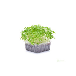 Microgreens, semínka na klíčky - Pískavice (řecké seno) 20g