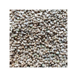 Špenát setý na microgreens, 500 g