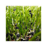 Pór zahradní na microgreens, 50 g