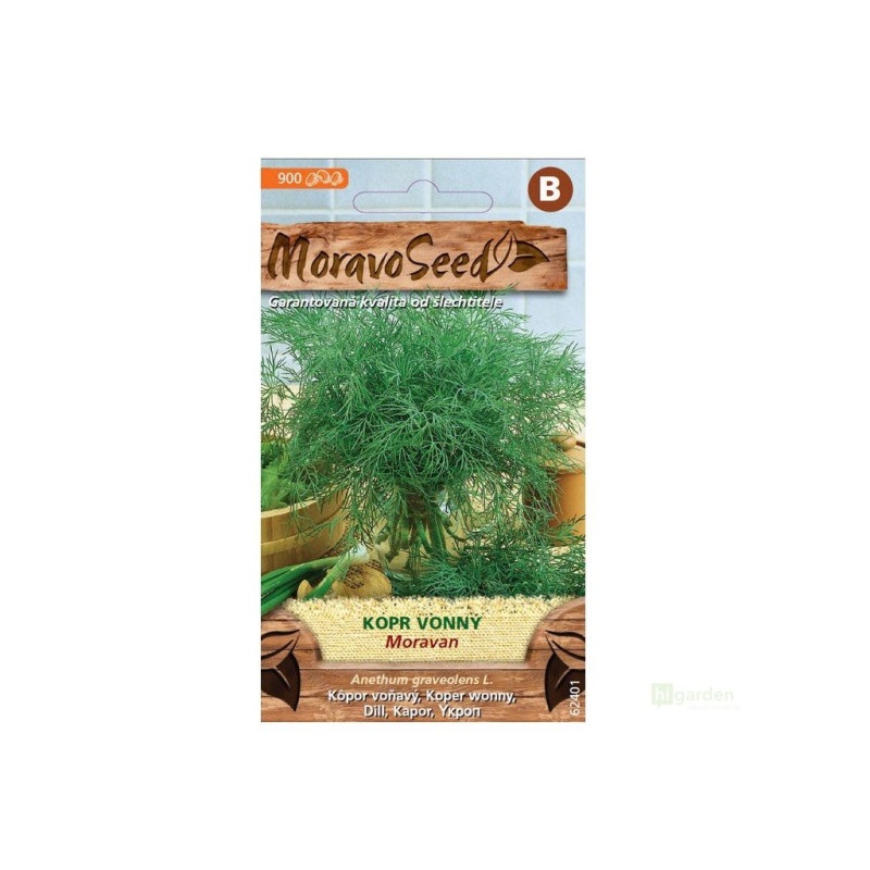 Semínka MoravoSeed Kopr vonný MORAVAN 62401