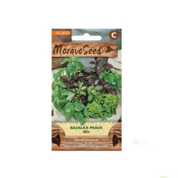 Semínka MoravoSeed Bazalka pravá, směs, 250s