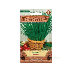 Semínka MoravoSeed Pažitka BOHEMIA 64701