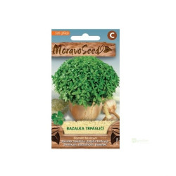 Semínka MoravoSeed Bazalka pravá, trpasličí 71706