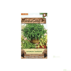 Semínka MoravoSeed Saturejka zahradní 71737