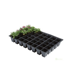 Garland sadbovací plato 40, 35,5x23x5cm, 5 ks