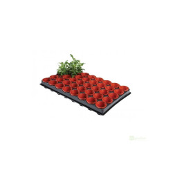 Garland Seed Cutting Tray, podmiska a 40 květináčků