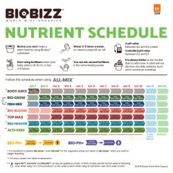 BioBizz Trypack Stimulant