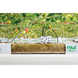 Grodan pěstební rohož VITAL 1000x150x75 mm