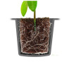 Root!t Dry Peat Free 24 Cell Propagator Kit, 37.5x23x18 cm