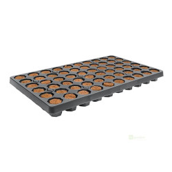 Root!t Dry Peat Free 60 Cell Filled Tray se sadbovačem, 52x30x4cm
