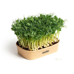 Sada pro pěstování Microgreens - Hrášek Affyla