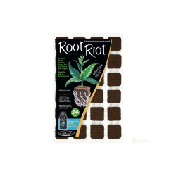 Root Riot 24, sadbovací kostky vč. sadbovače, 24ks