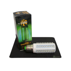PF zelená LED žárovka 3,5W