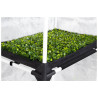 PROBOX PROPAGATOR L, 60x40x200cm